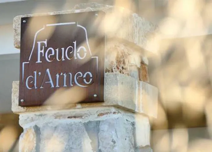 Feudo D'arneo 招待所 4*